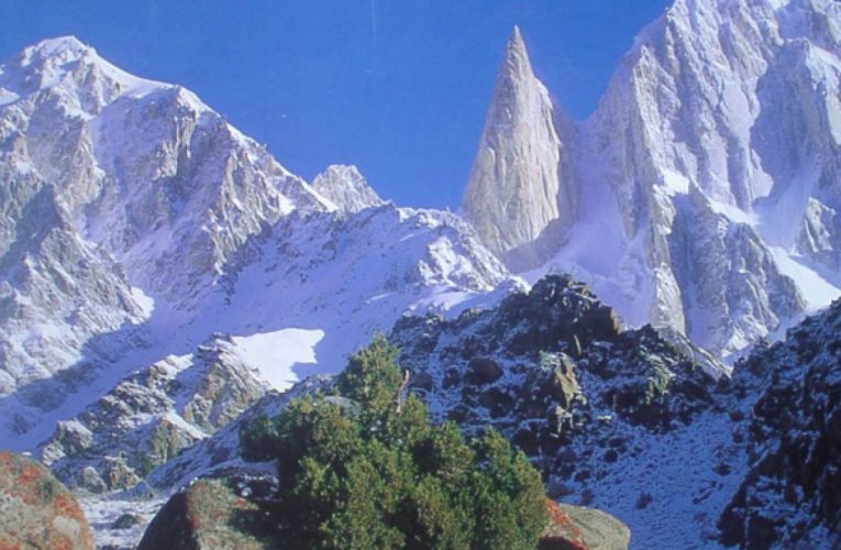 उत्तरी पाकिस्तान में हिमस्खलन में ऑस्ट्रियाई पर्वतारोही की मौत: पुलिस